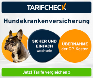 Führt zu Informationen über Hundekrankenversicherungen und einem Vergleichstest