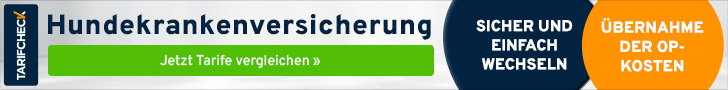 Banner mit Informationen zur Hundeversicherung