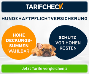 Hundeversicherung vergleichen – Tarifcheck